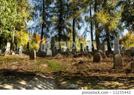 forgotten and unkempt Jewish cemetery with the strangers forgotten and unkempt Jewish cemetery with the strangers 11235442