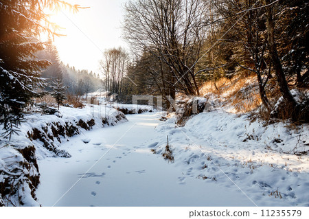 Sunny morning in winter landscape Sunny morning in winter landscape 11235579