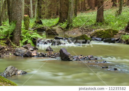 Mountain stream in a forest 11235582