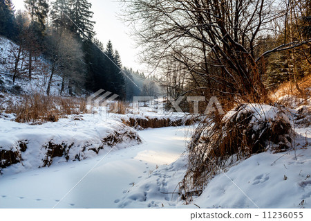 Sunny morning in winter landscape 11236055