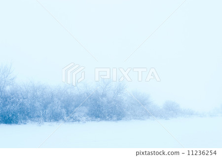 Winter fog 11236254