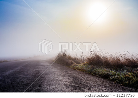 rural foggy road going to the sunrise rural foggy road going to the sunrise 11237756