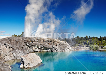 Pohutu Geyser, New Zealand Pohutu Geyser, New Zealand 11238147