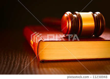 Judges gavel lying on a law book 11238948