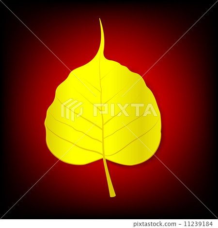 Boh Leaf Boh Leaf 11239184