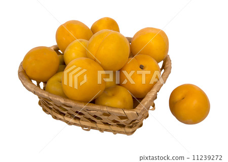 basket with apricots 11239272