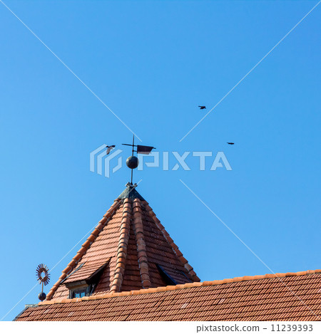 Crows flying above tiled roof of castle in Mir, Belarus. Crows flying above tiled roof of castle in Mir, Belarus. 11239393