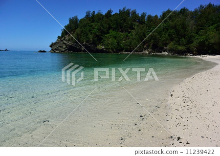 Ogasawara Copape beach 11239422