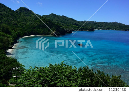 Ogasawara-Taura Coast 11239488