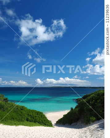 Miyakojima沙灘 11239636