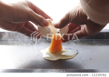 Cooking cook eggs Cooking cook eggs 11239782