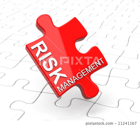 risk management 11241167