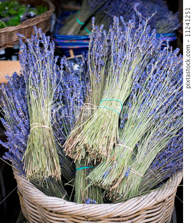 Lavender Bunches for Sale 11241251