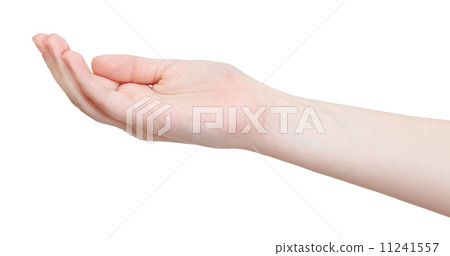 hollow palm - hand gesture 11241557