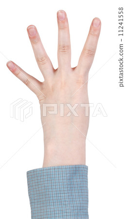 counting four - hand gesture isolated on white 11241558