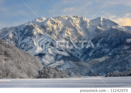 越後的和尚“八幡” 11242970