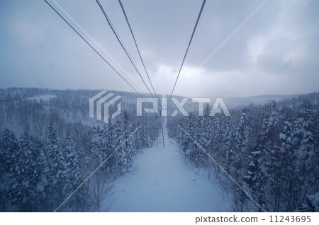 Akita ken Ani Akita ken Ani 11243695