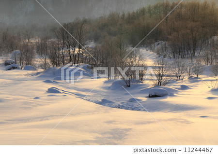 冬天白馬松川的早晨 11244467