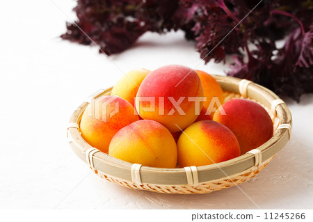 Umeboki material Umeboki material 11245266