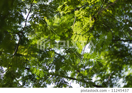 Men's Outdoor Business 11245437