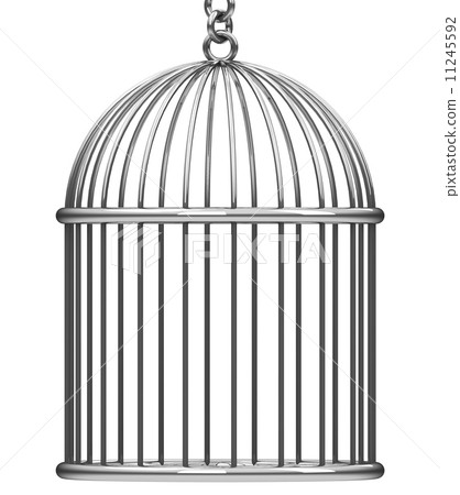 the cage 11245592