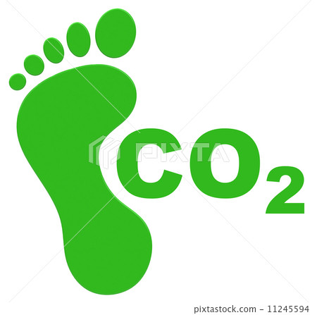 the ecological footprint 11245594