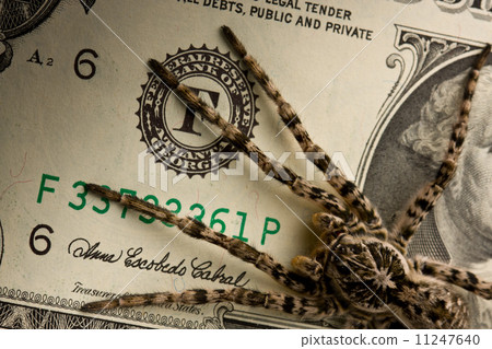 Danger and money, savings protection concept 11247640