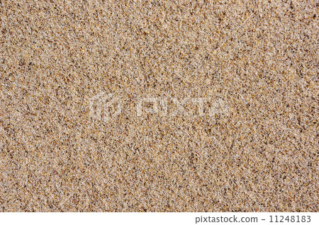 Sand texture. Sand on Baltic beach. 11248183