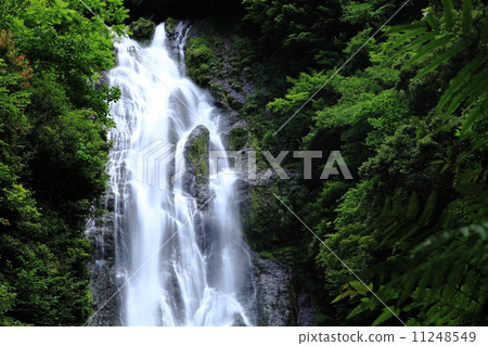 瀑布 11248549