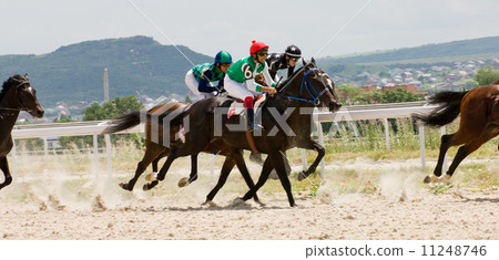 Horse racing Horse racing 11248746