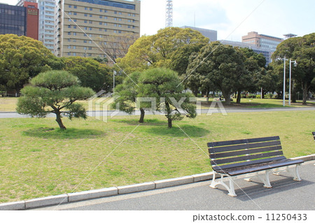 Scenery of Yamashita Park 11250433