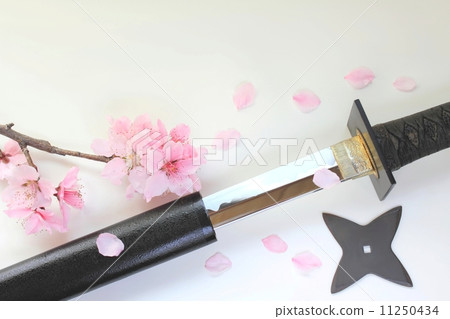 Ninja sword shuriken and cherry blizzard 11250434