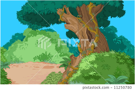 Tropical forest background 11250780