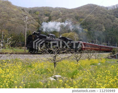 SL Pareo Express 11250949