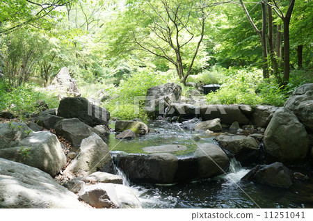 Serenity of the River Serenity of the River 11251041