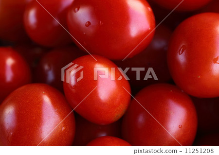 夏季蔬菜(西紅柿) 夏季蔬菜(西紅柿) 11251208