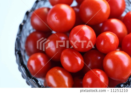 夏季蔬菜(西紅柿) 夏季蔬菜(西紅柿) 11251210