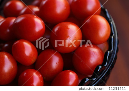夏季蔬菜(西紅柿) 夏季蔬菜(西紅柿) 11251211