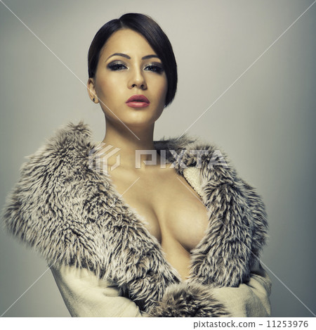 Attractive luxury woman in a gray coat Attractive luxury woman in a gray coat 11253976
