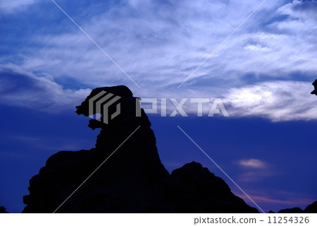 哥斯拉搖滾 11254326
