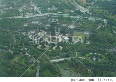 Garden visa bay seen from Marina Bay Sands 11254340
