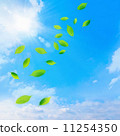 Leaves dancing in the blue sky 11254350