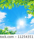 Blue sky and sun and fresh green 11254351