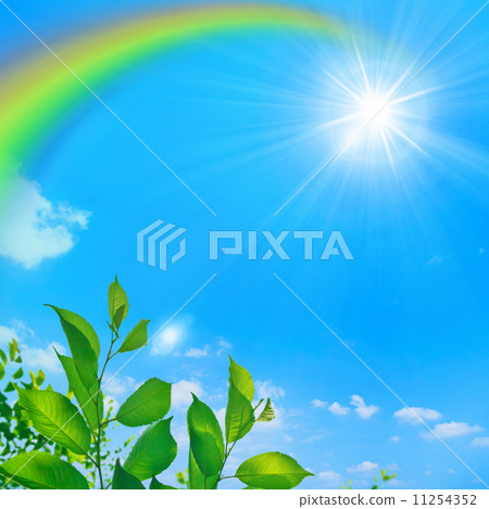 Blue sky, rainbow, sun and fresh green 11254352