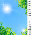 Blue sky and sun and fresh green 11254353