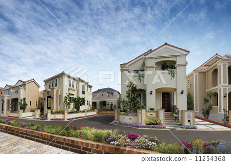 Family line Family line 11254368