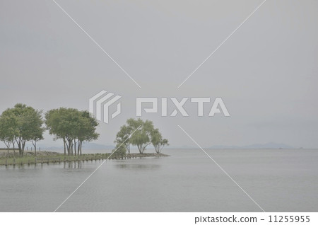 霧琵琶湖 11255955