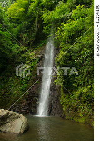 Yoro no Waterfall Yoro no Waterfall 11256180