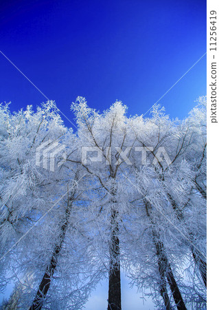Below freezing 11256419