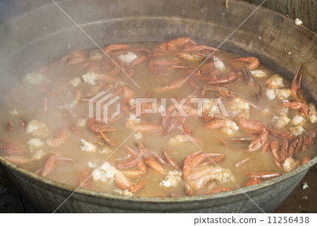 Hair crab Hair crab 11256438